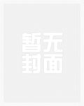 柳条胡同之江湖往事